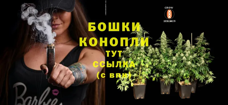 Шишки марихуана THC 21%  Курчалой 